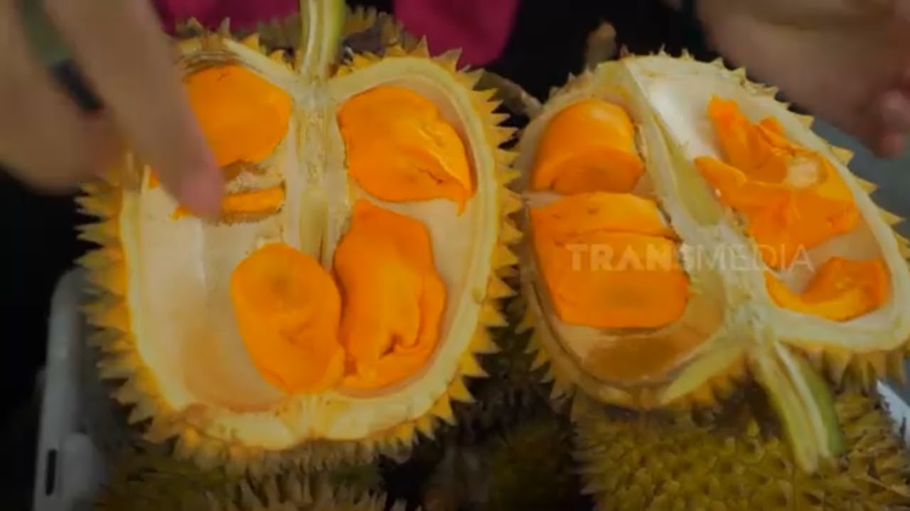 Buah Lai Kembaran Durian | RAGAM INDONESIA (11/07/23)