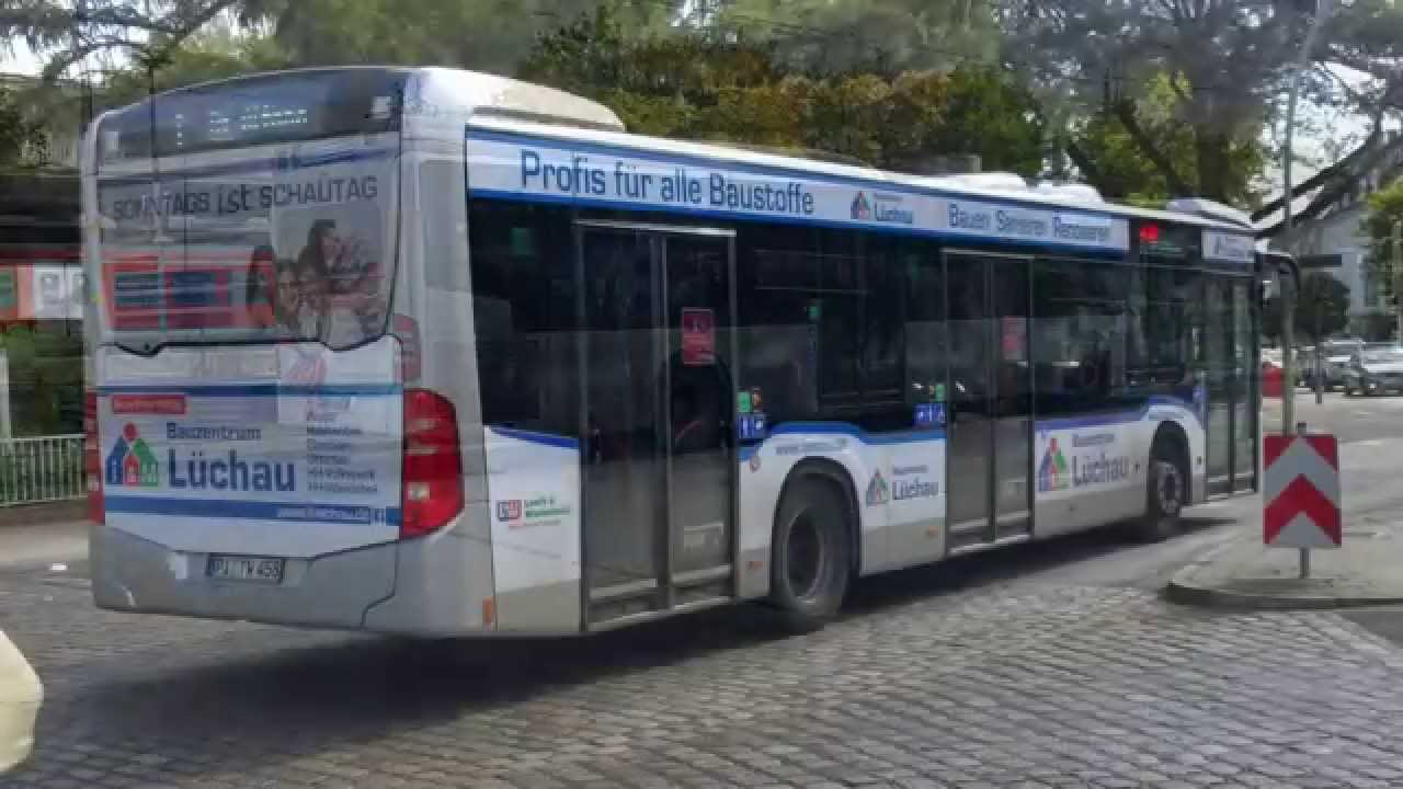 VHH Busse 3