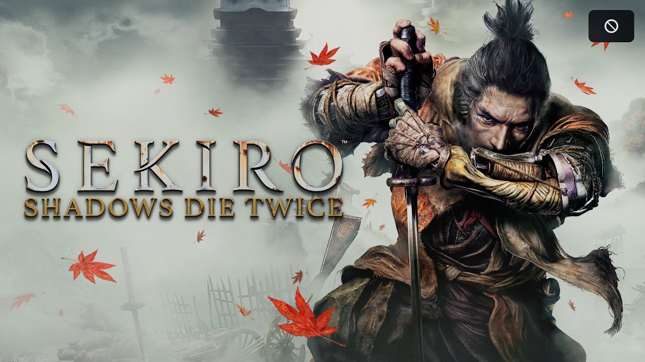 Sekiro (14)