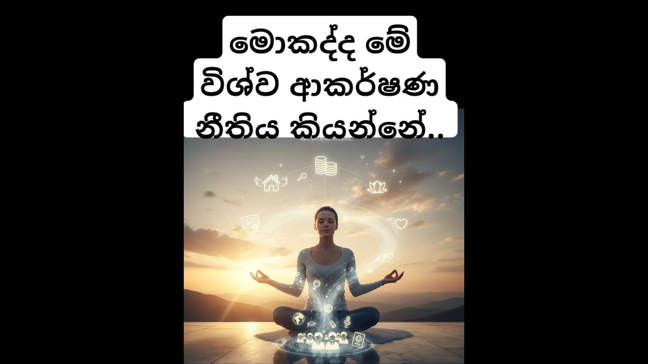 මොකද්ද මේ විශ්ව ආකර්ෂණ නීතිය කියන්නේ?
