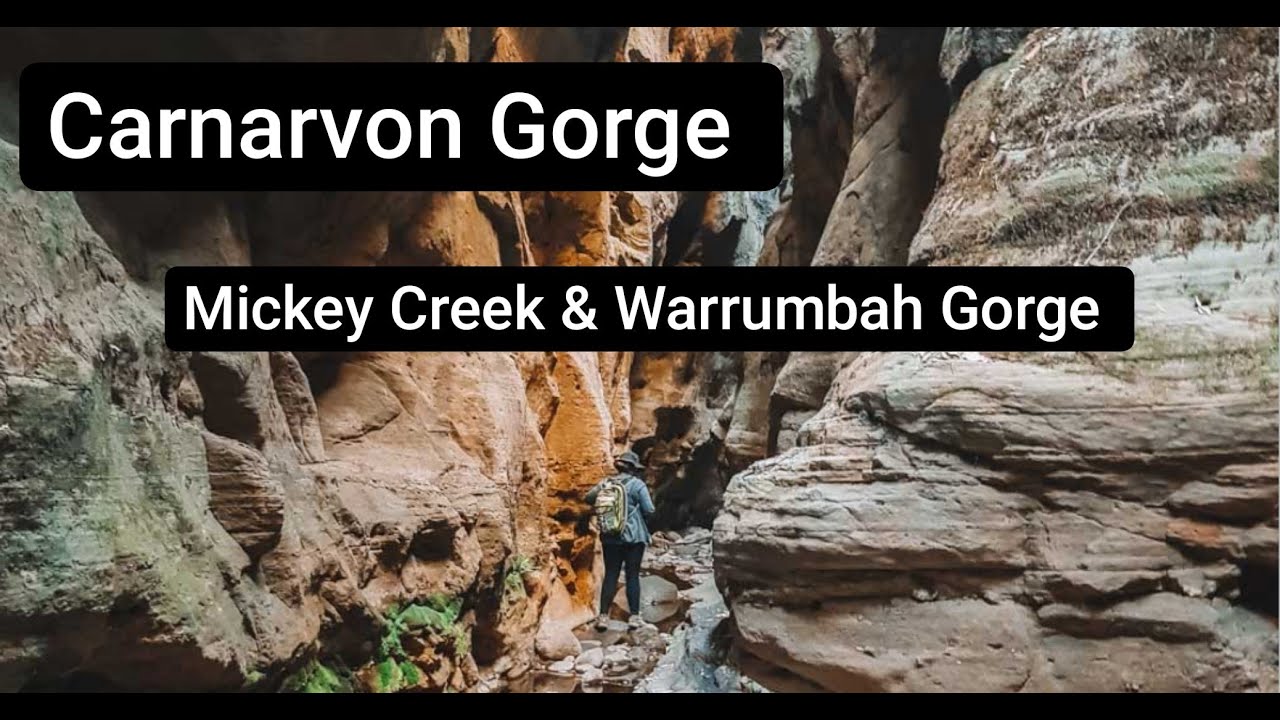 CARNARVON GORGE | QLD Road Trip EP14 | Warrumbah Bluff & Mickey Creek Gorge & Rock Pools