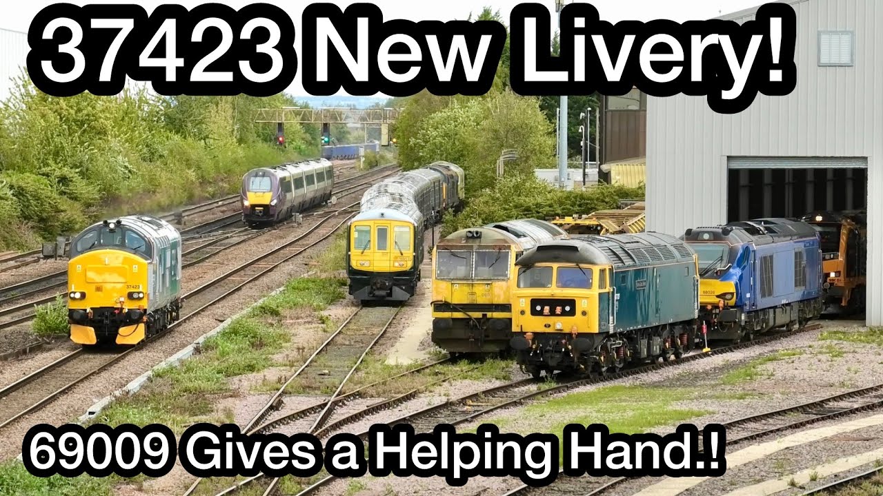 37423 with NEW Livery & 69009 BUSY at Leicester Locomotive Inspection Point..! Plus 810008 on test.!