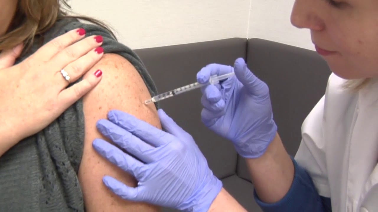 Research on the immune system and aging
