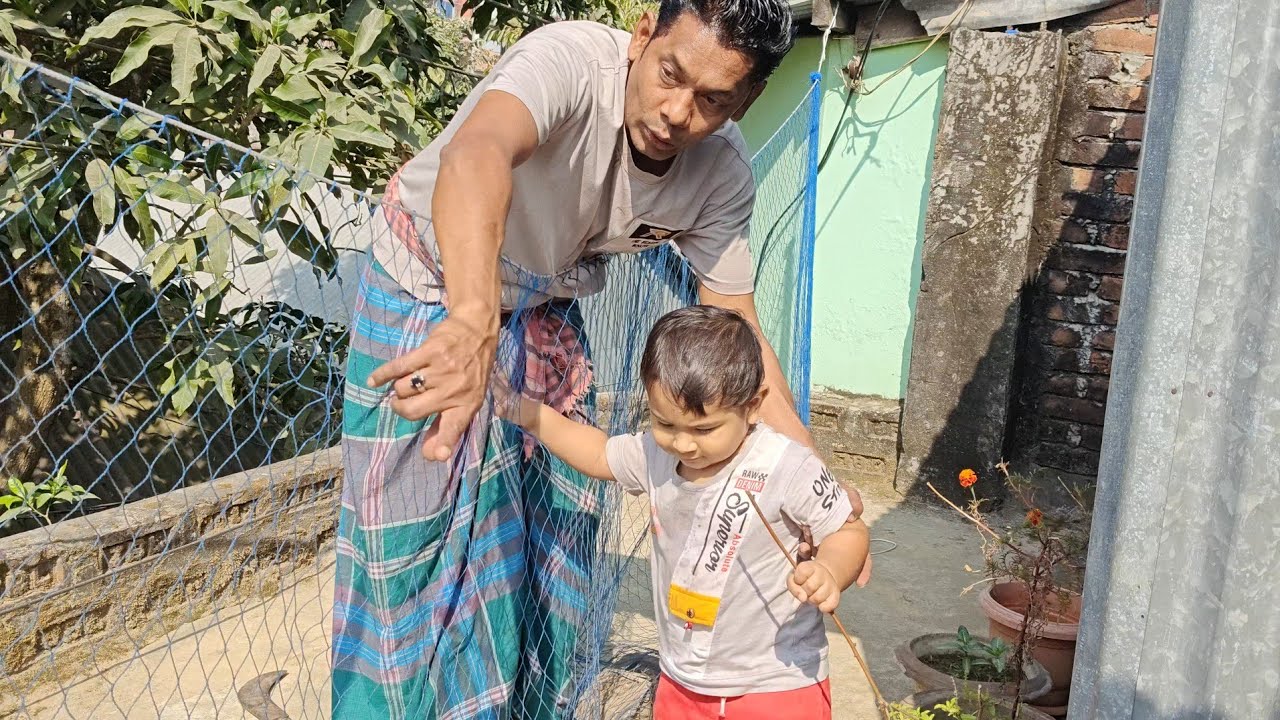 আজ সকাল বেলায় ছাদে গিয়ে ফুল গাছের ডাল গুলো কেটে দিলো। Bangladeshi simple village life!