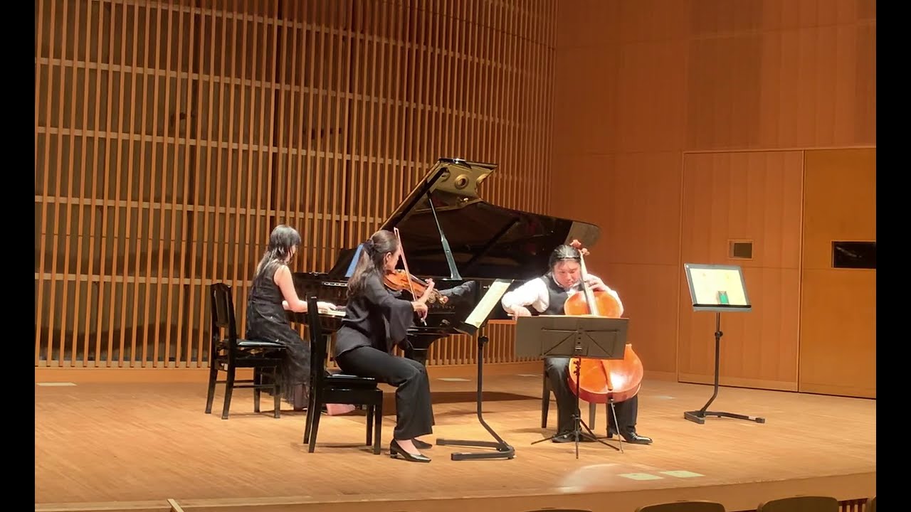 【室内楽演奏しました】メンデルスゾーン　ピアノトリオOp.49第1楽章【PTNAステップアンサンブル企画】
