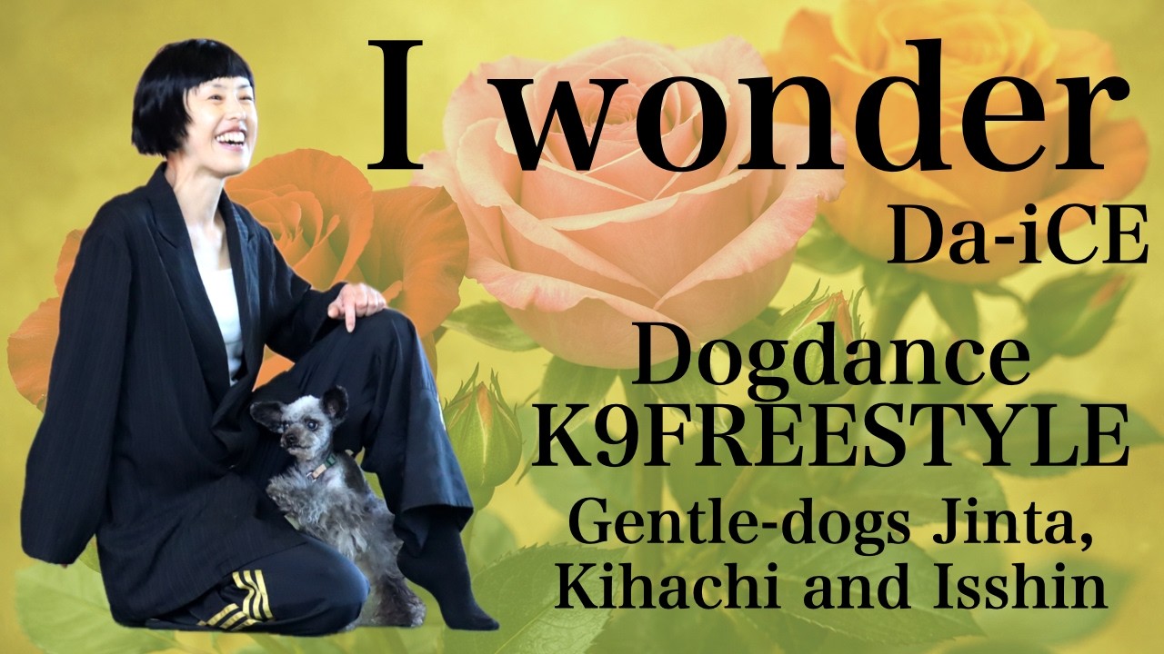 Dogdance / K9freestyle　「I wonder」　Da-iCE