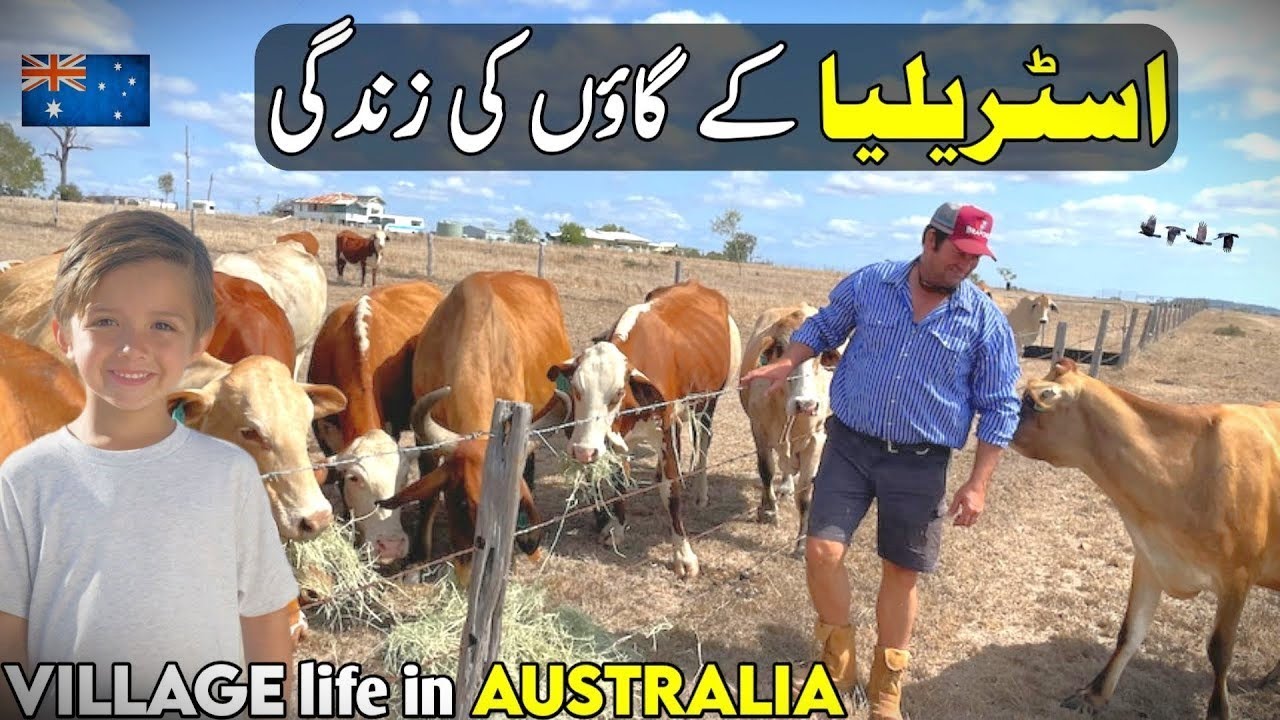 Australia 🇦🇺 Village Rural life Documentary in Urdu and Hindi | اسٹریلیا کے گاؤں کی زندگی