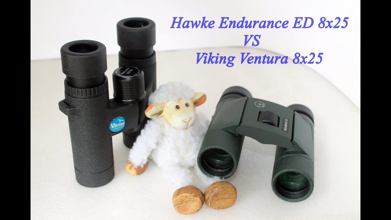 Hawke Endurance ED 8x25 Vs Viking Ventura 8x25 binoculars
