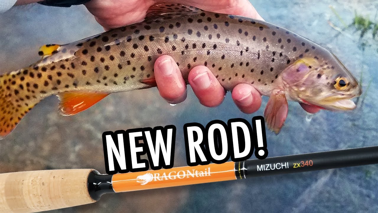 A New Rod, 2 New Species, and 3 New Creeks! (Tenkara Fly Fishing)