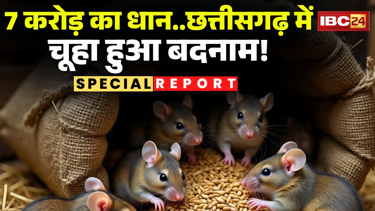 CG News: Where is the paddy worth crores? Questions, allegations and protests | Paddy Scam | Kawa...