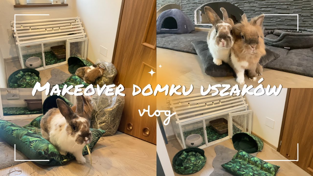 NOWY WYSTRÓJ DOMKU KRÓLIKÓW