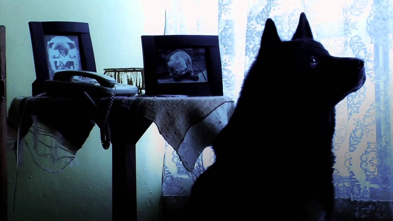 Estereo Humanzee - Hubble (Video Oficial) HQ