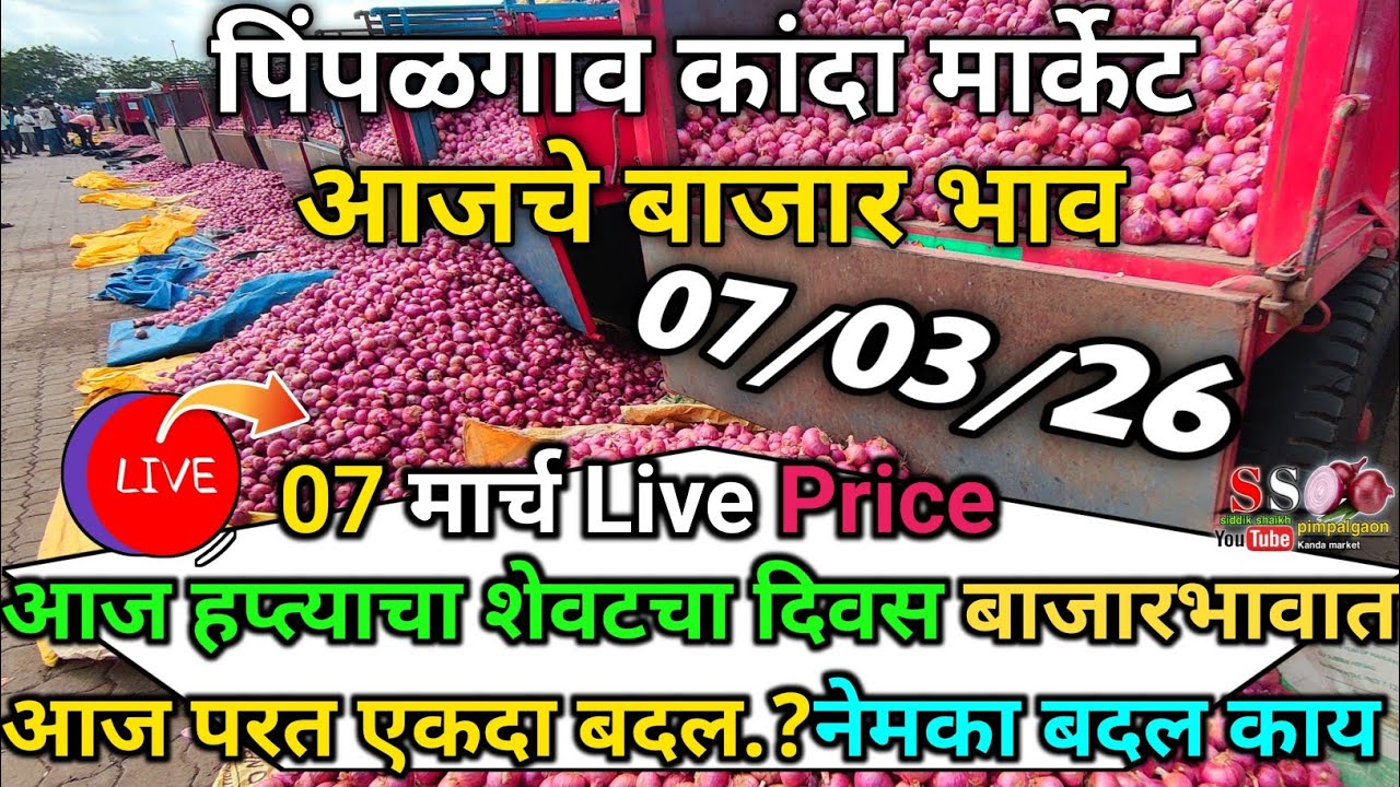 Pimpalgaon Onion Market Price Today:Latest Rates And Insights 07 march 2025