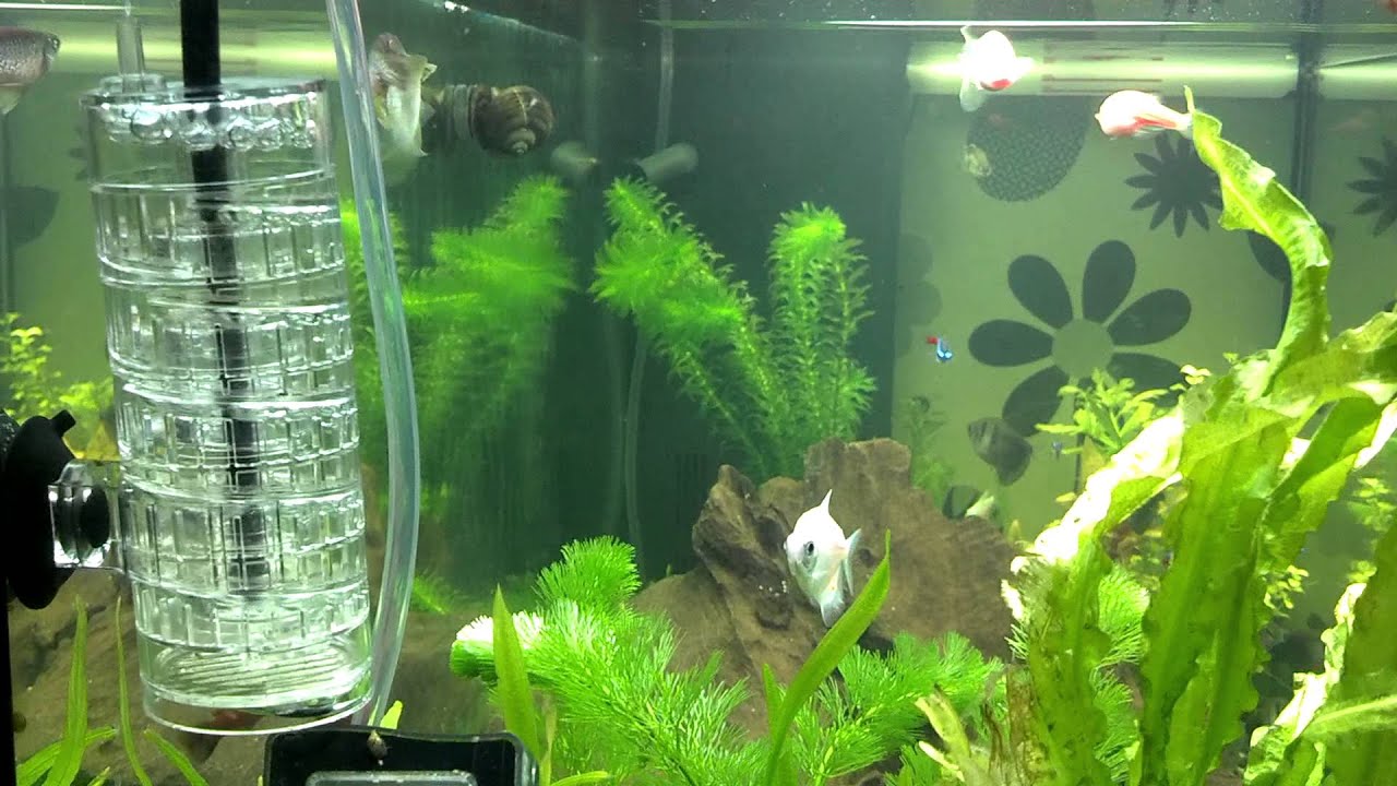 Реактор JBL ProFlora Taifun S