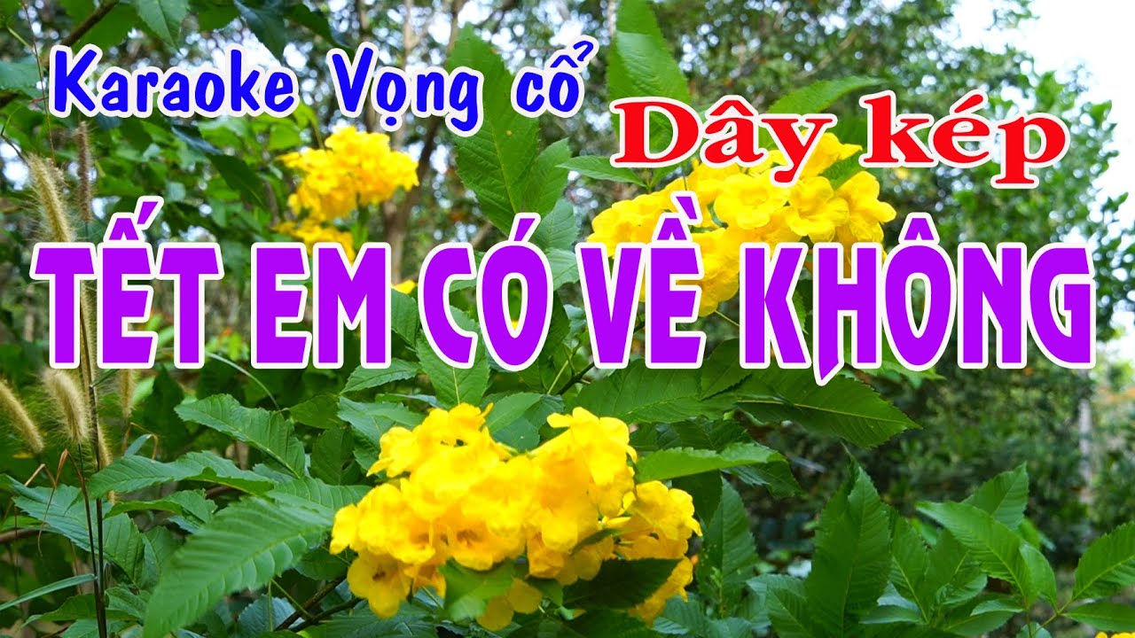 Karaoke vọng cổ TẾT EM CÓ VỀ KHÔNG - DÂY KÉP