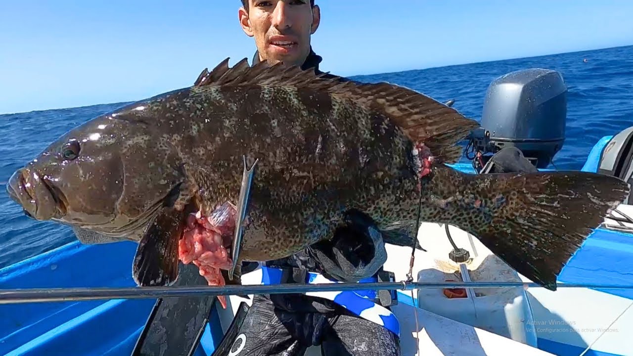 Pesca con arpon en Aguas Ultra Claras