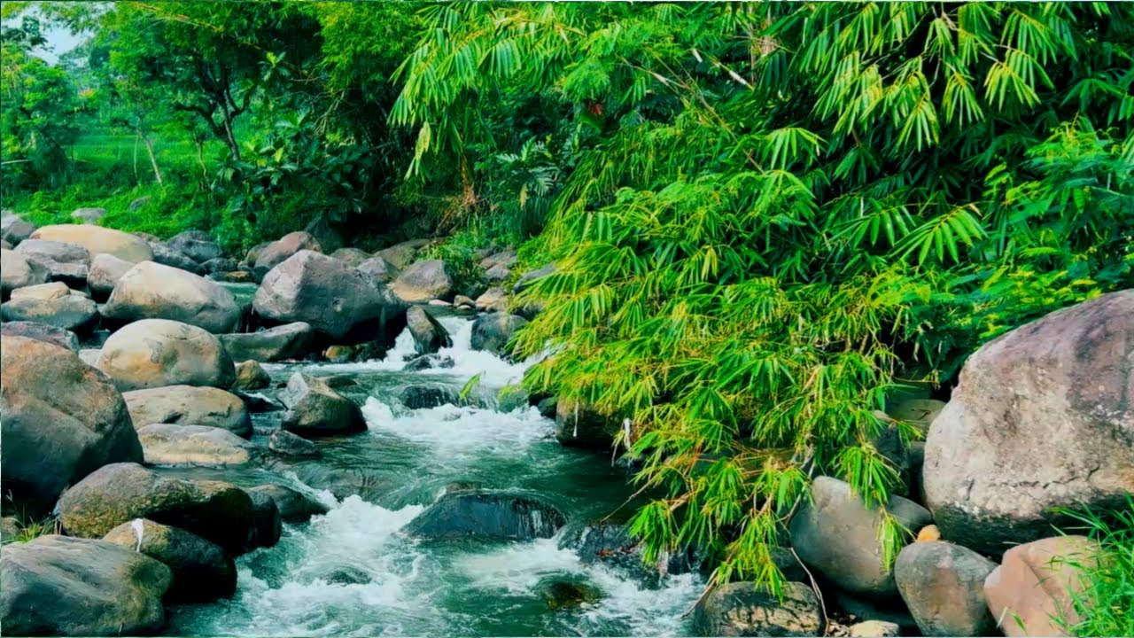 Tranquil River Sounds - Nature White Noise for Sleep, Meditation, Relaxation & Inner Peace