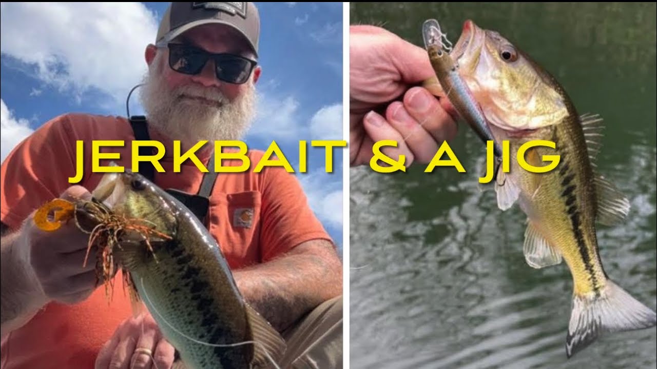 Jerkbait & a #badboyjigs #bassfishing 