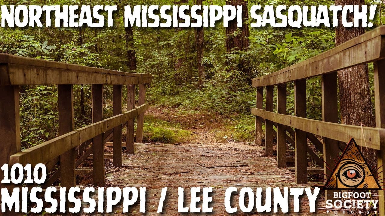 Bigfoot Encounters of Northeast Mississippi | Bigfoot Society 1010