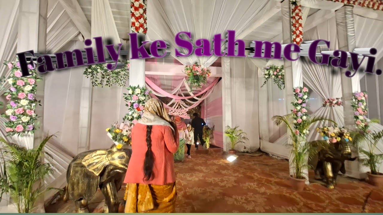 Family ke sath Shadi me Gayi.. #dailyvlog #viral
