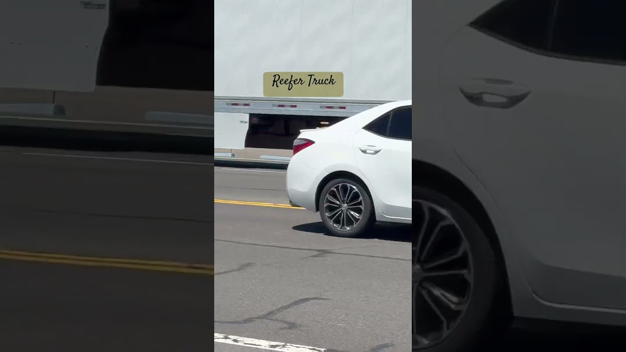 Reefer Track .  ASMR 