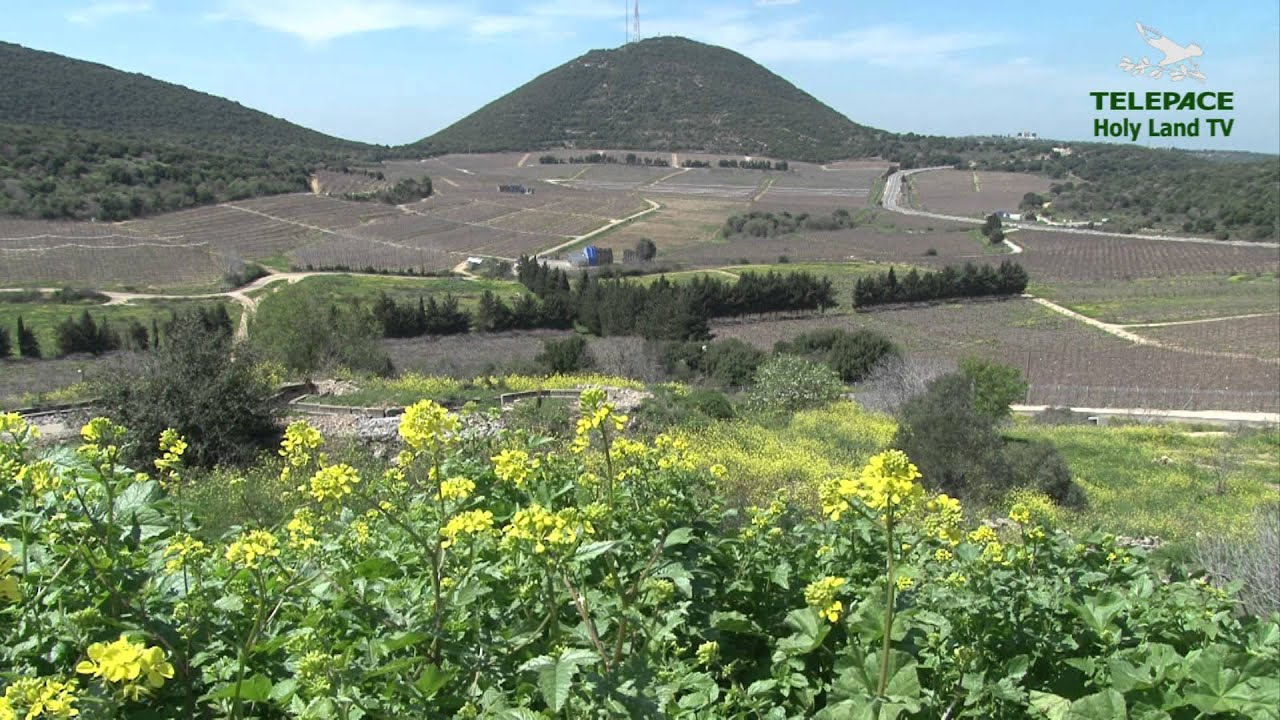 UN KIBBUTZ VISTO DALL'INTERNO