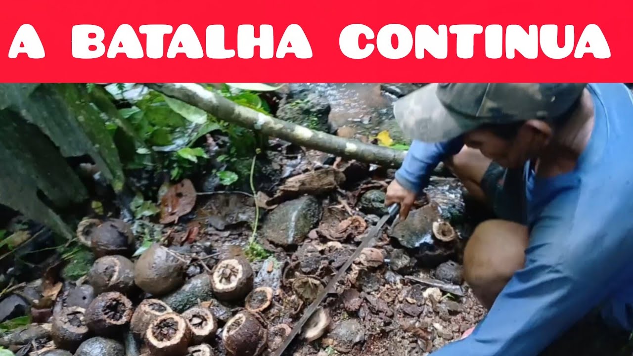 QUEM TEM UM AMIGO TEM TUDO GRATIDÃO PELO APOIO 
