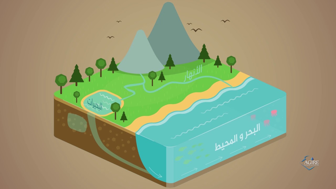 دقيقة الماء : دورة الماء في الطبيعة