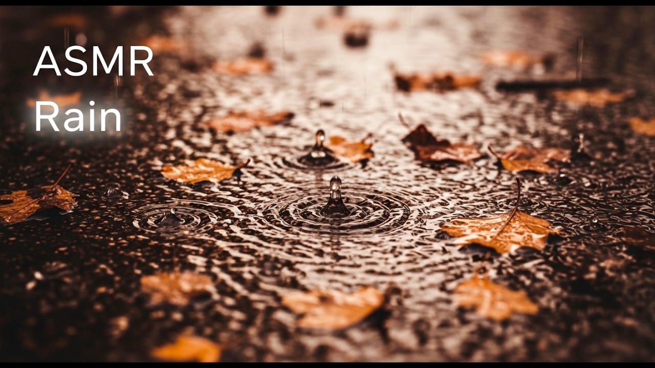 ASMR Rain 🌧️ | Gentle Ground Rain with Falling Leaves | 4 Hours | No Music