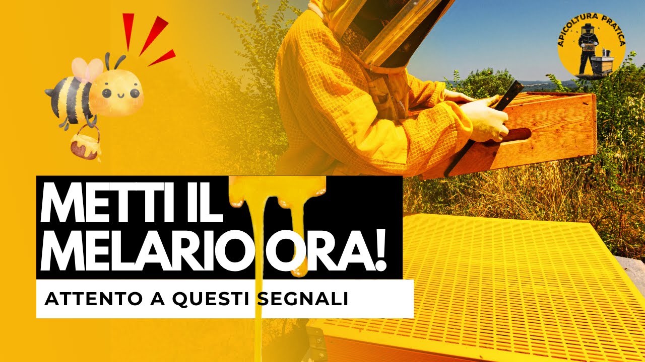 Melario sì o no? Ecco cosa guardo prima di metterlo