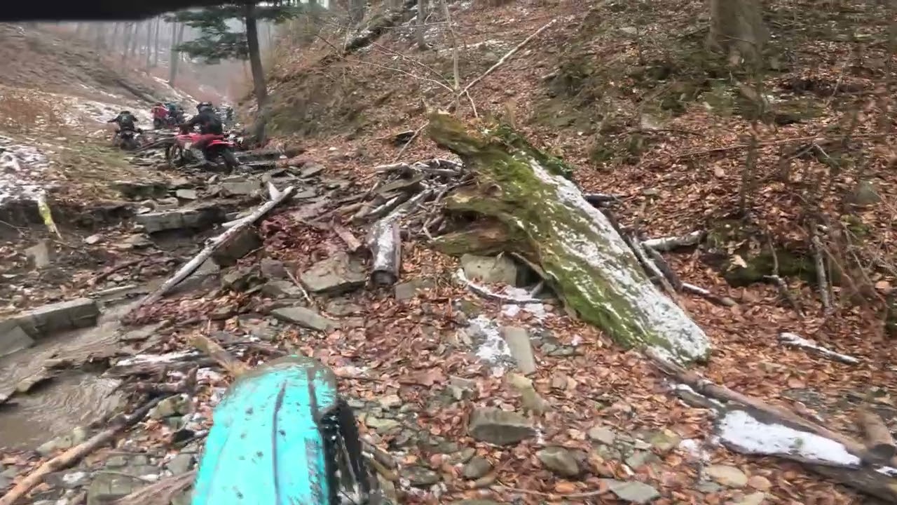 Jaro siadaj na tego osiołka 🤣🤣🤣