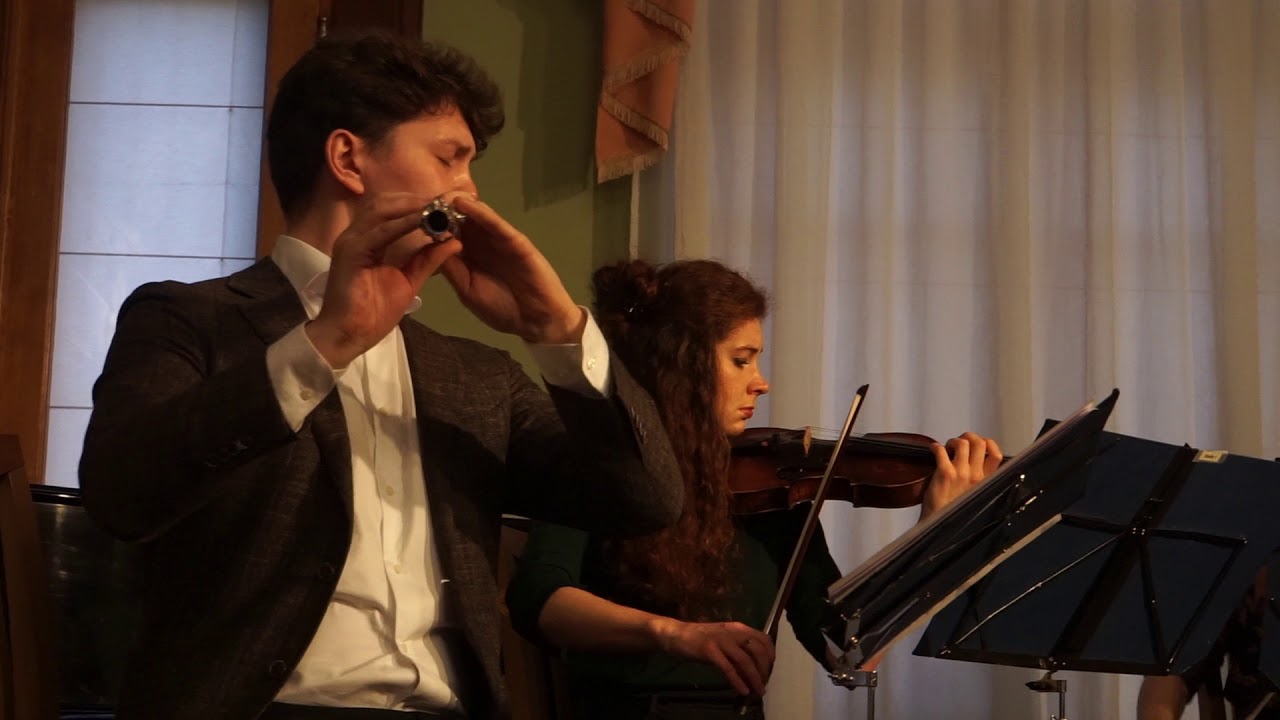 Edson Ensemble live episode in Frenkel vila [&Scaron;iauliai'17.11.26]