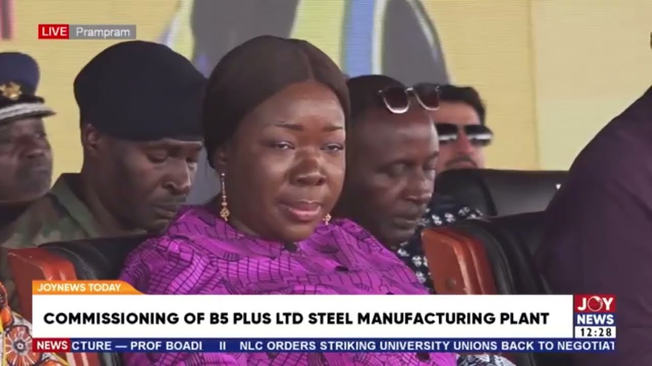 Industrial investors should compete on productivity, not unpredictability - President Mahama