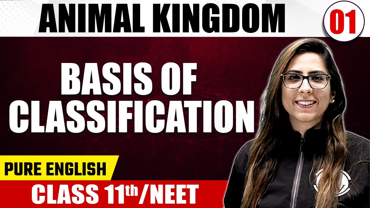 ANIMAL KINGDOM 01 | Basis of Classification | Zoology | Pure English | Class 11th/NEET