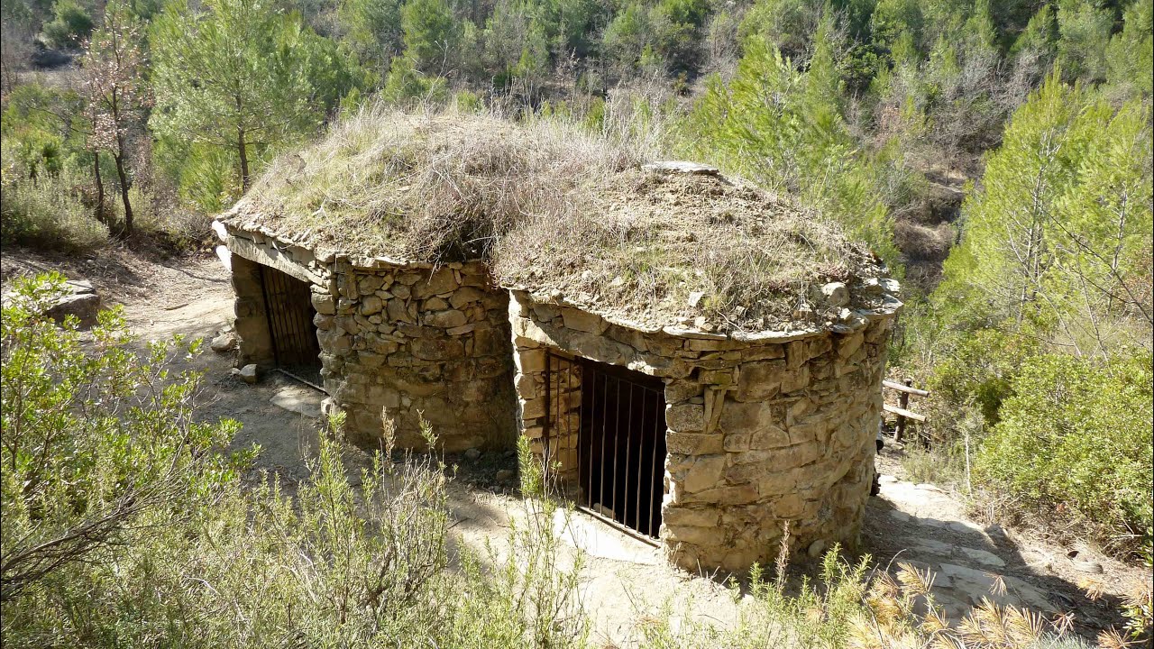 Les tines de la vall del Flequer. Pont de Vilomara-Rocafort