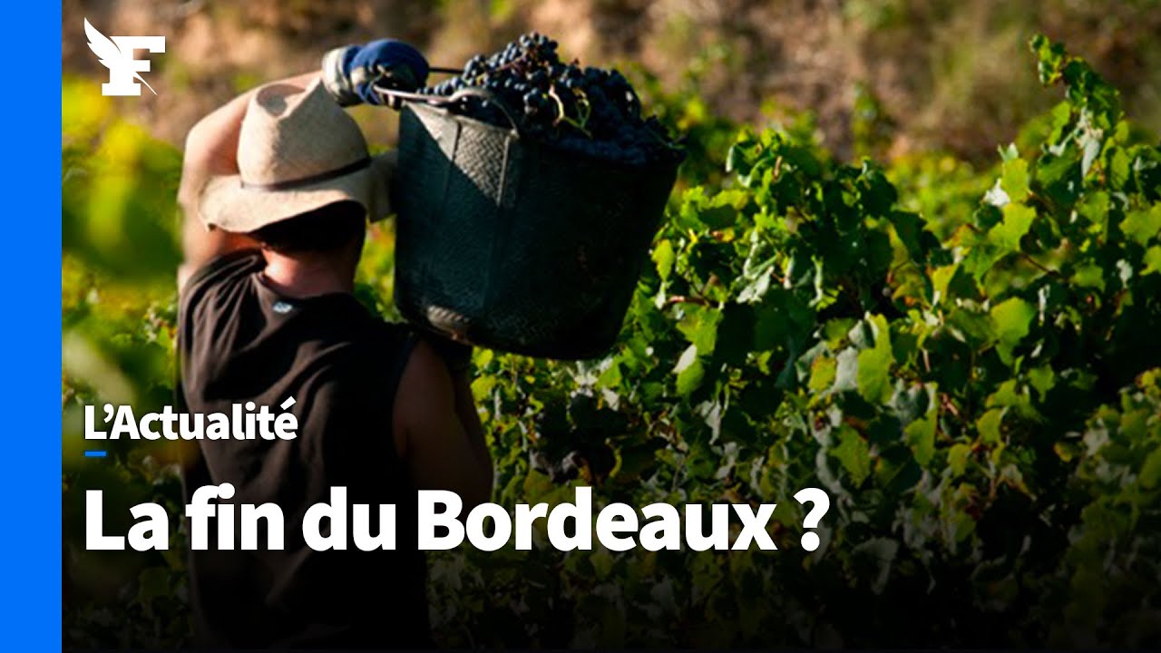 Le vin de Bordeaux est-il en voie de disparition ?