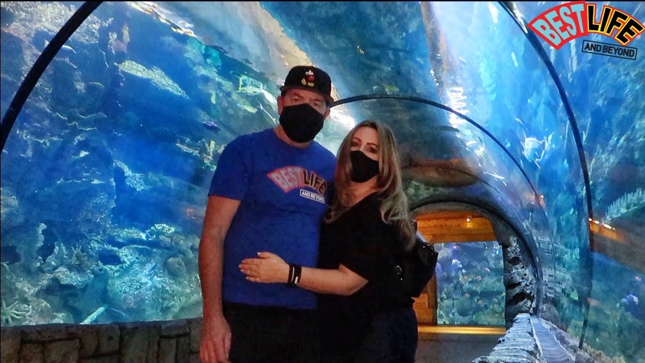 Exploring the Mandalay Bay Shark Reef Aquarium in Las Vegas...The All-Predator Animal Aquarium’