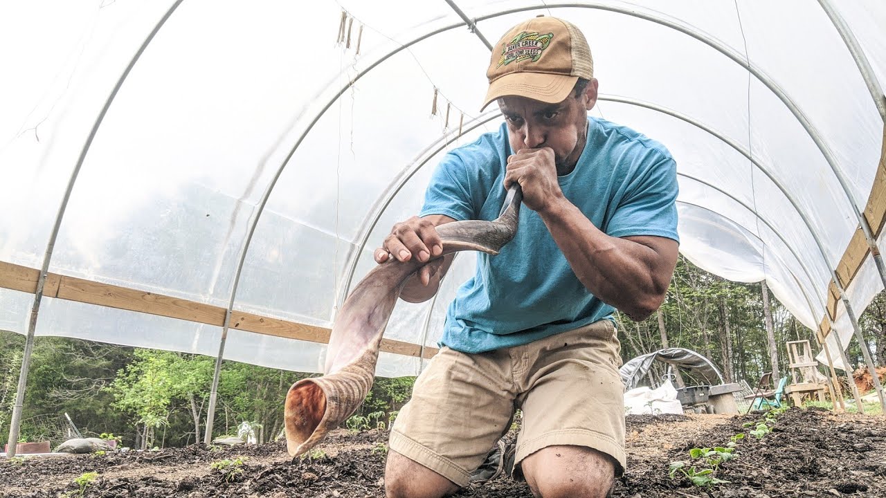 Вот как я выращиваю больше таких растений в своем саду.