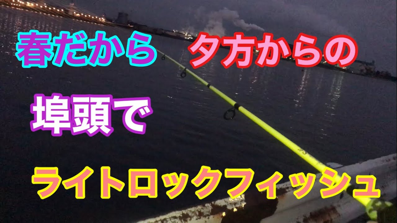 春だから夕方からの埠頭でライトロックフィッシュ 衣浦湾 知多半島