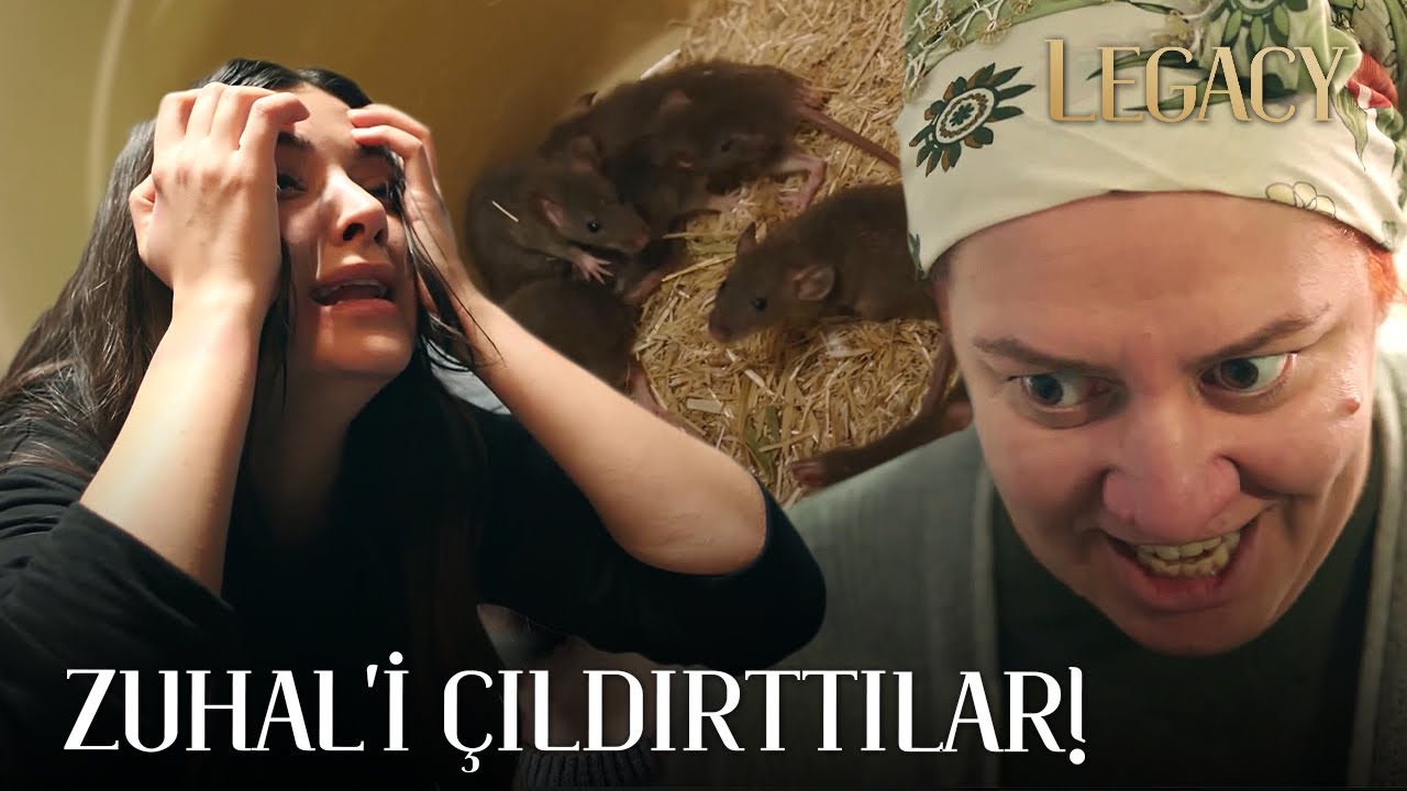 Bu kadarı Zuhal için bile fazla... | Legacy 188. Bölüm