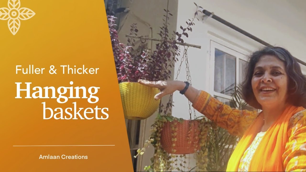 Fuller & Thicker Hanging Baskets | Small Space & Apartment Friendly Gardening