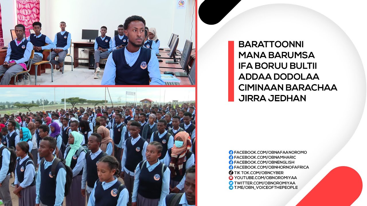 Barnoota