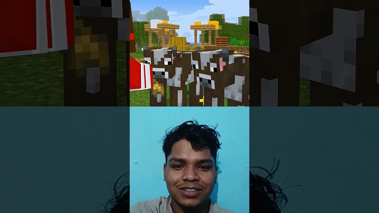 Minecraft JJ Sister Cute Baby 🥰🥺 
