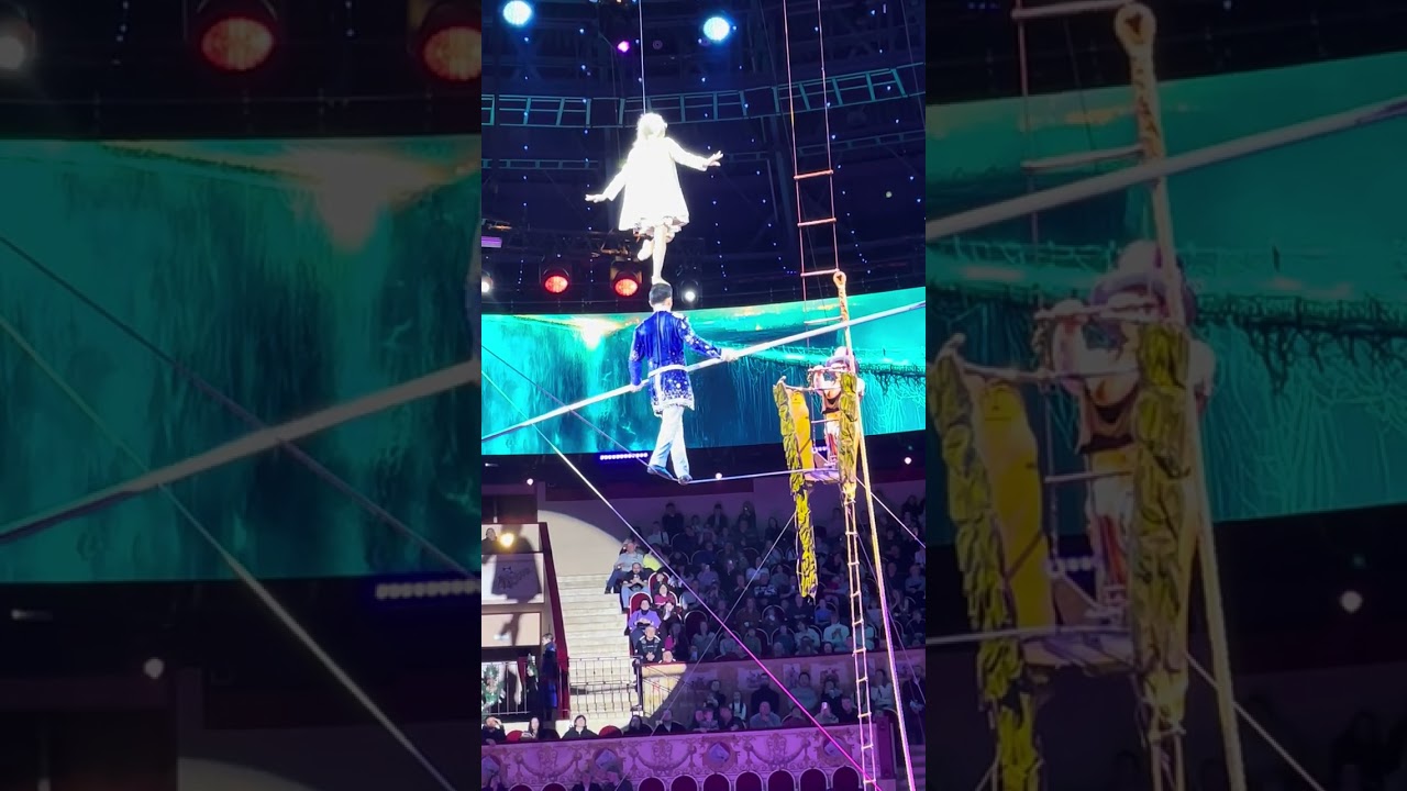 Nikulin circus. SPB 2026🤩