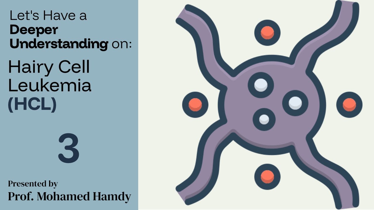 3. Hairy Cell Leukemia (HCL) – Deeper Understanding