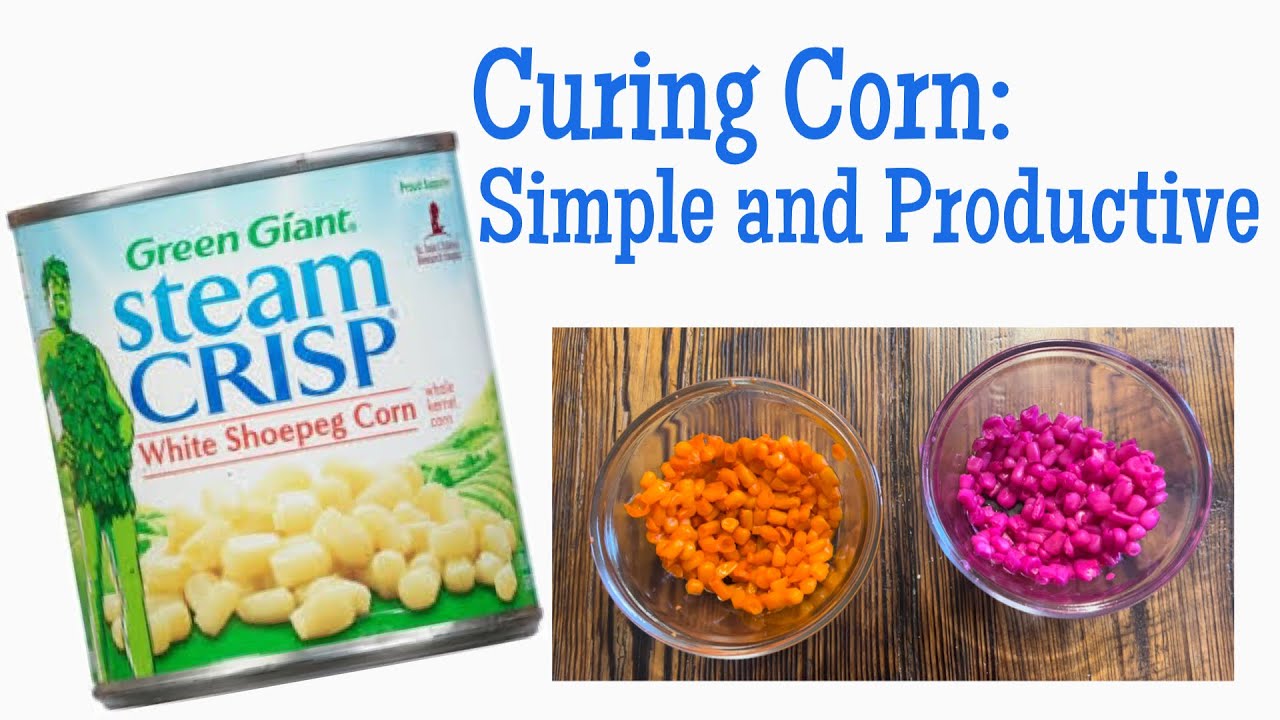 Curing Corn: Simple and Productive