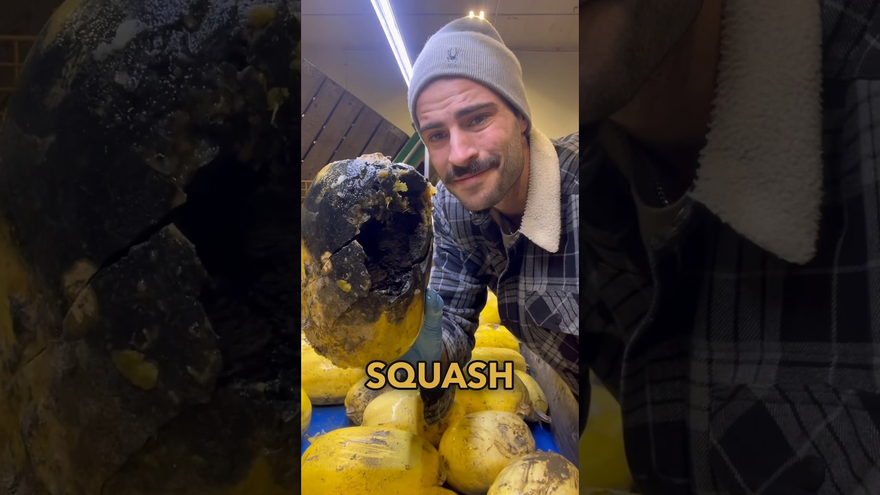 Dealing with a rotten crop