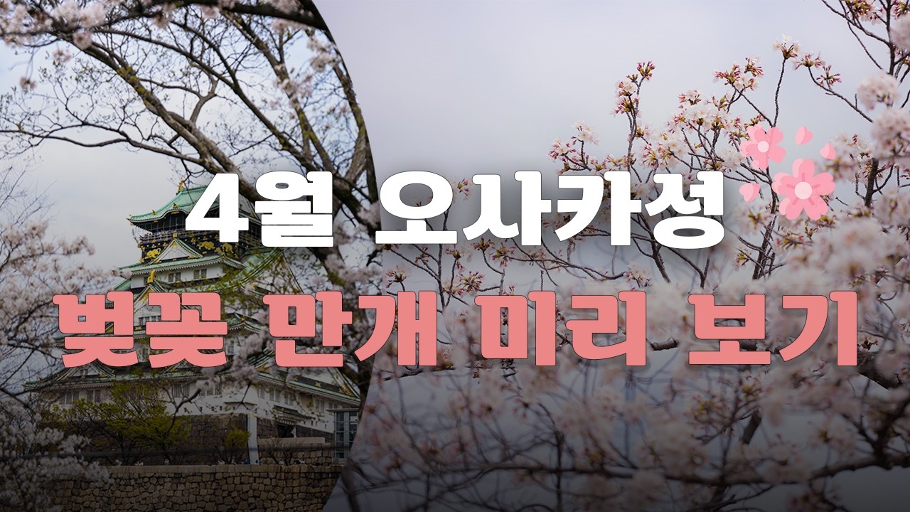 오사카 벚꽃 타이밍 중요합니다 🌸 4월에 가야 볼 수 있어요 | 오사카 여행