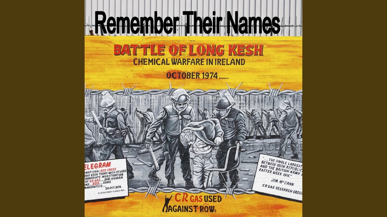 Remember Their Names (feat. Shaun Mc Cafferty)