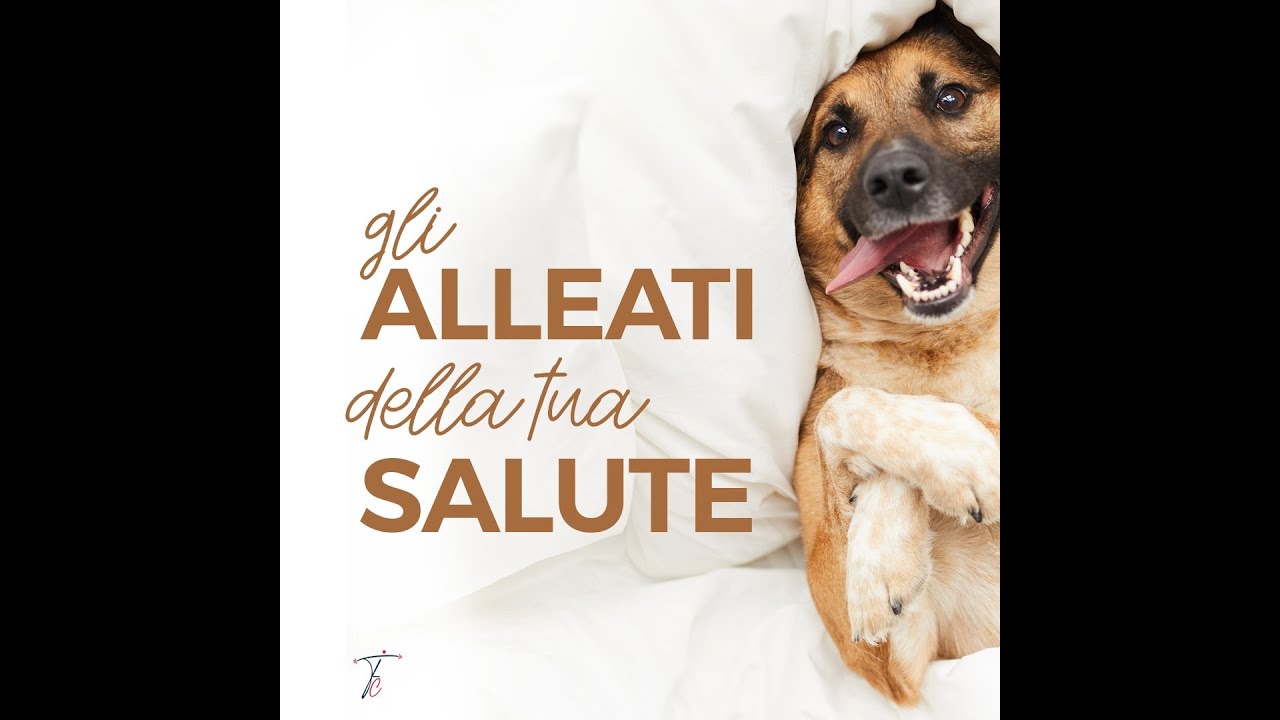 Pet Friendly - InsuranceTrainer